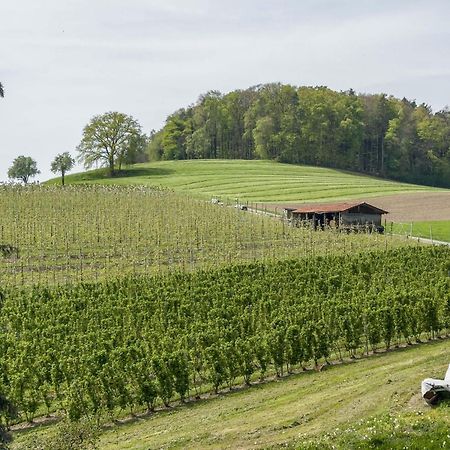 Ferienwohnung Lang Kressbronn am Bodensee Luaran gambar