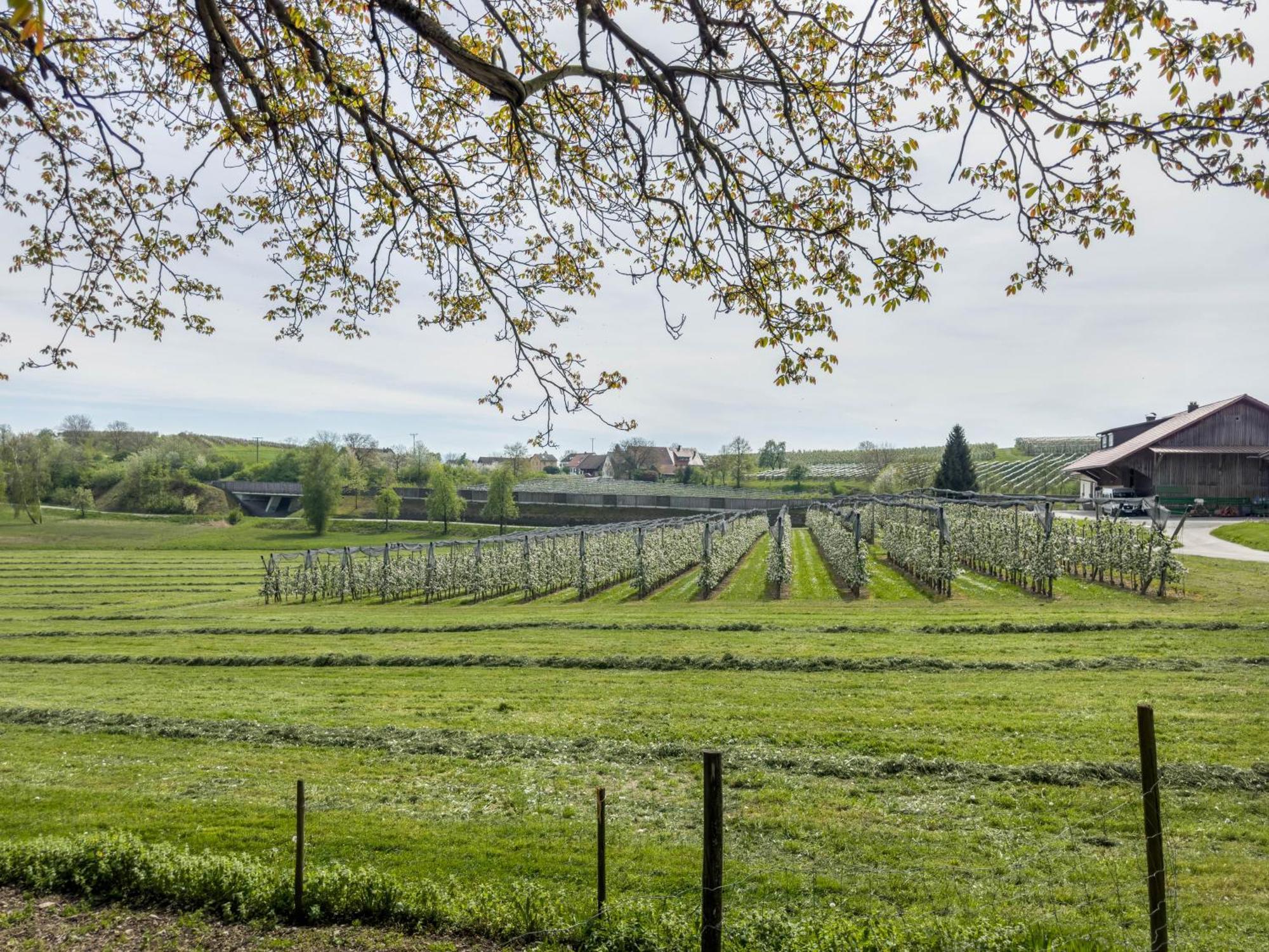 Ferienwohnung Lang Kressbronn am Bodensee Luaran gambar